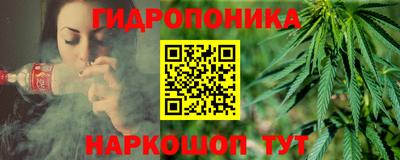 индика Пенза