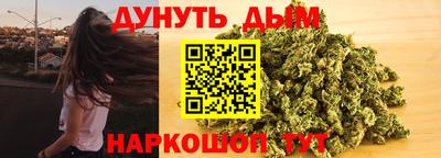 индика Пенза