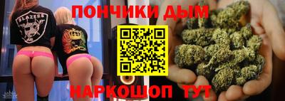 индика Пенза