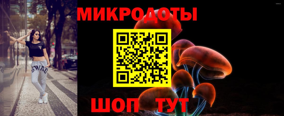 Туапсе  Псилоцибиновые грибы мицелий  купить наркотики сайты  Галлюциногенные грибы Psilocybine cubensis  Вход с VPN 